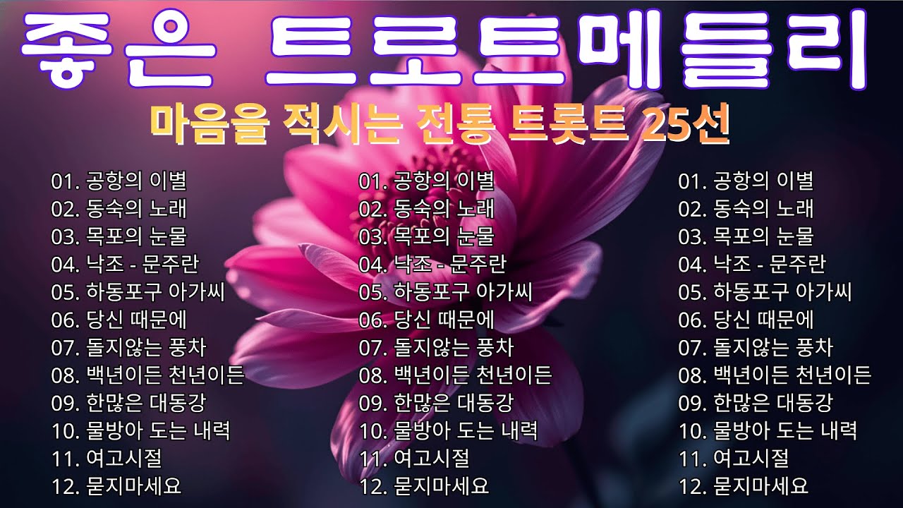 그 시절 추억의 트로트 명곡 20곡 모음 🎶듣기좋은 트로트메들리 🌹  흘러간 세월의 트로트 🎵 중장년층 애청 명곡 모음💿 하루 종일 듣기