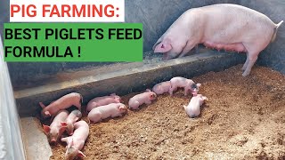 HOW To Make YOUR OWN PIGLETS FEED Formula  Best Quality Feed for LESS!