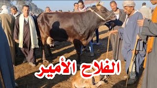 الحاج زعل مني وعنده حق يزعل بس انا بشوف شغلي والله ماكنت قاصد