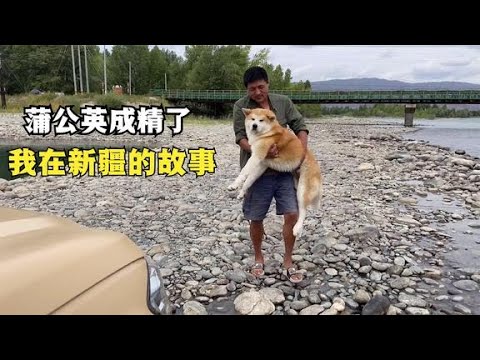 流浪生活记录片，一人一狗新疆旅行50天的总结，故事很搞笑的【ENG SUB】