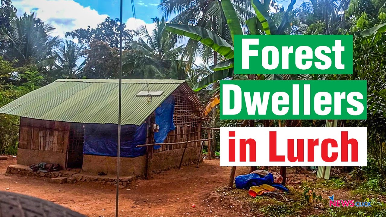 Kani Tribes of Kanyakumari Denied Rights