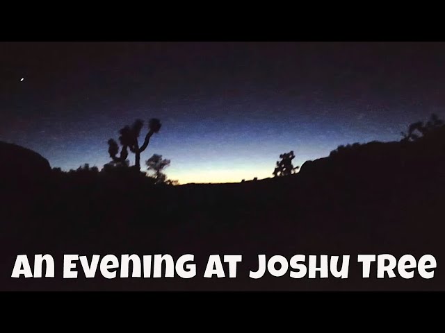 Roadschool Life | Having dinner at Joshua Tree National Park