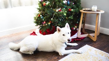 Making an Inlay Table with Shaper Origin