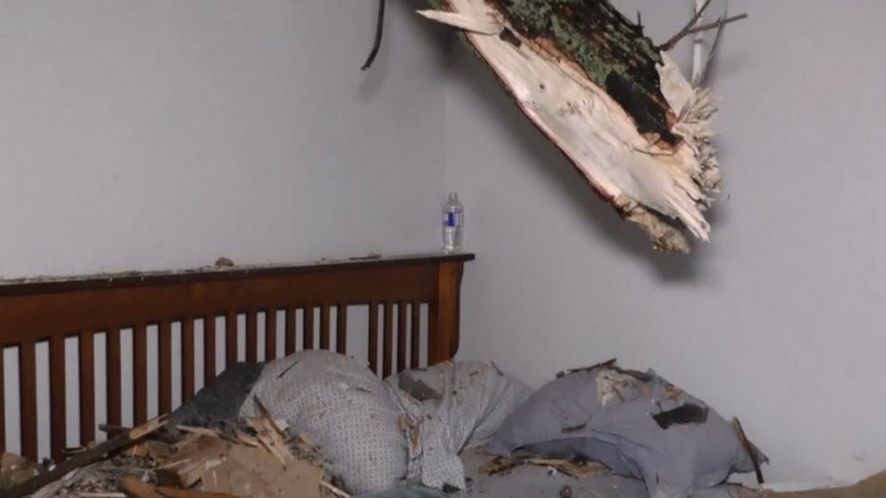 Niagara family ‘lucky to be alive’ after tree falls above bed during ...