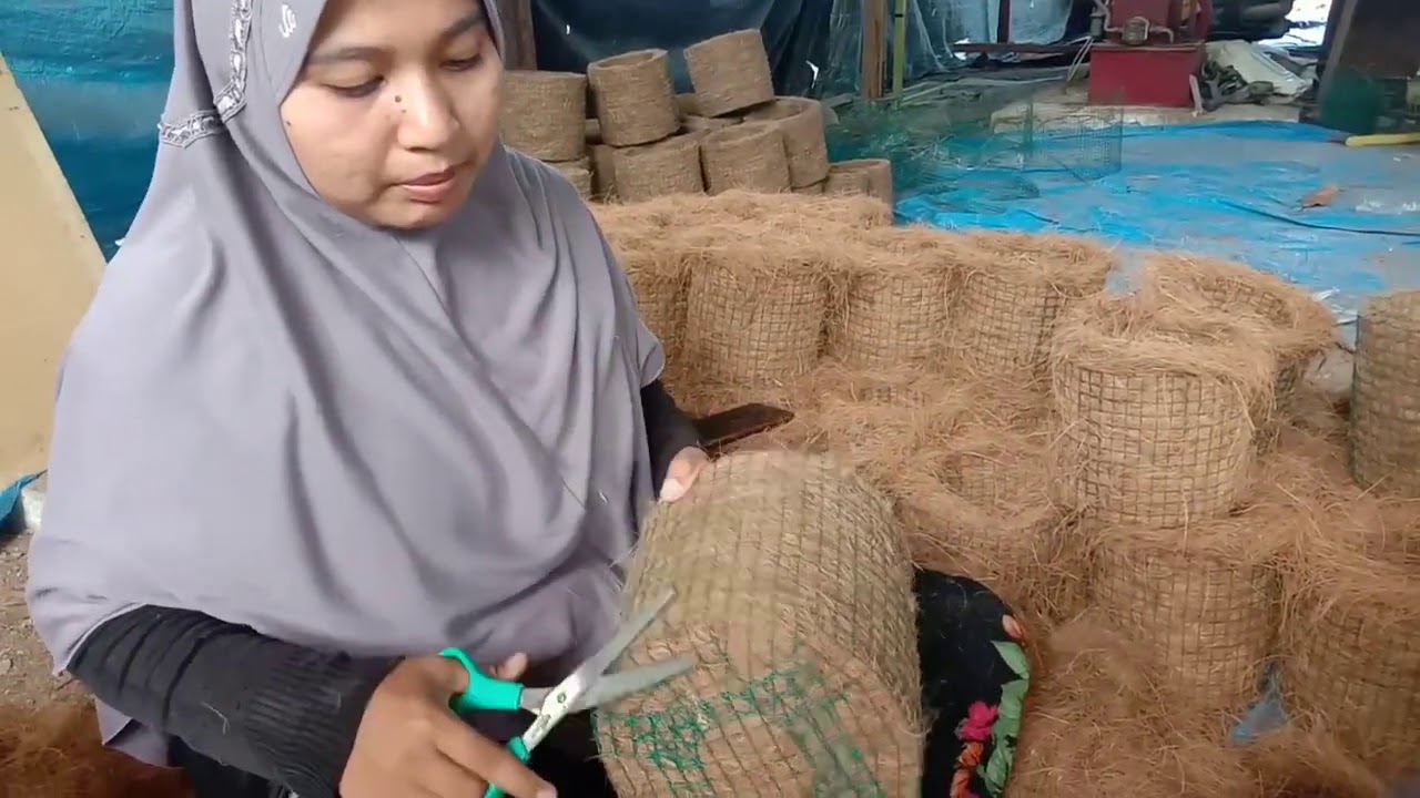 Cara Membuat Pot Bunga Dari Sabut Kelapa