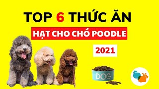 Chó Poodle ăn gì? Top 6 loại thức ăn hạt cho chó Poodle | Thức ăn cho chó Poodle  Tiki Pet Store