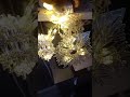 Diwali fancy light