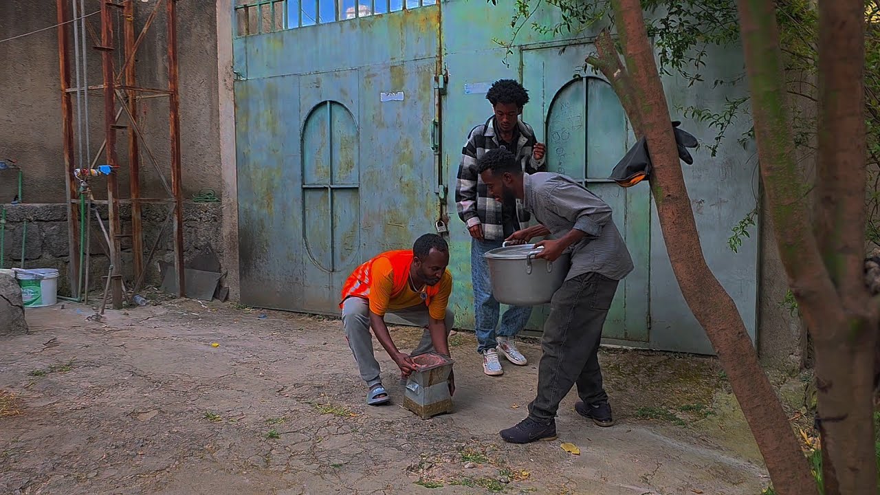 74k views 1hour ago ቶንኮሱ part 2 አስቂኝ ድራማ 