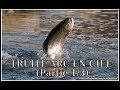 TAXIDERMIE RARE TETE De Truite Arc En Ciel EUR 35,00 - FR