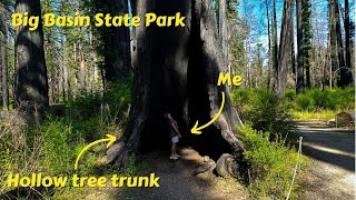 Big Basin Redwoods State Park - World's Tallest and Biggest Trees