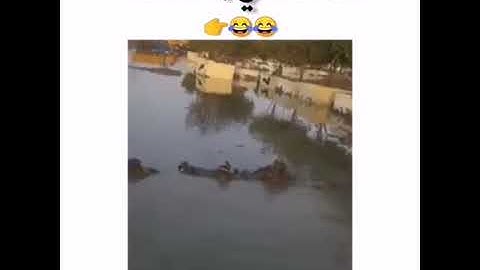 الأصمعي في العراق 🇮🇶 تحشيش فيضانات العراق 😹😹