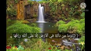 وما من دابة في الأرض إلا على الله رزقها (الدوسري)