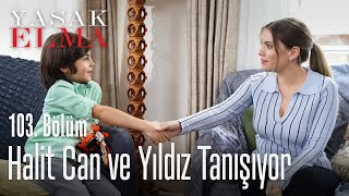 Yıldız ve Halit Can'ın tanışması - Yasak Elma 103. Bölüm