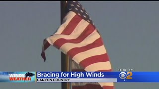 Gusty, Windy Weather Take Out Trees Throughout Los Angeles