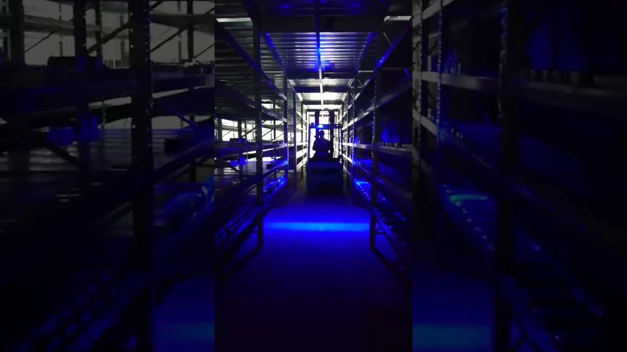 Luci Stroboscopiche Di Emergenza A LED Giallo Blu Rosso Tetto Per Auto Mini Polizia Lampeggiante Avvertimento Di Pericolo Faro Con Base Magnetica 12V 24V