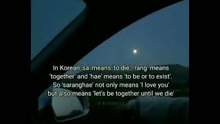 SARANGHAE MEANS...❤️