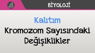 Kalıtım - Kromozom Sayısındaki Değişiklikler
