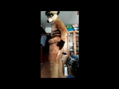 Furry fart compilation