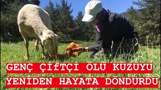 YAYLADA BİRGÜN /  DAĞDA OLAN KUZU MACERASI