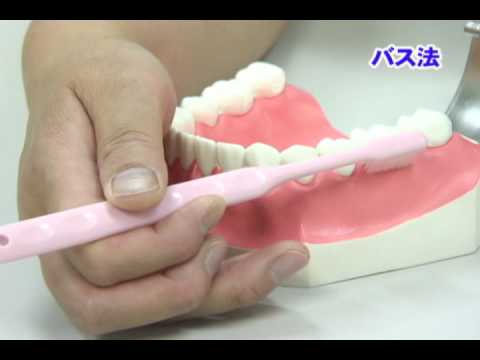 歯磨きの仕方 日本の宝妙高へ 夏の棚田 坪山 Youtube