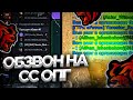 КАК Я ПРОХОДИЛ ОБЗВОН В СТАРШИЙ СОСТАВ ОПГ?!🤯BLACK RUSSIA RP (CRMP MOBILE)