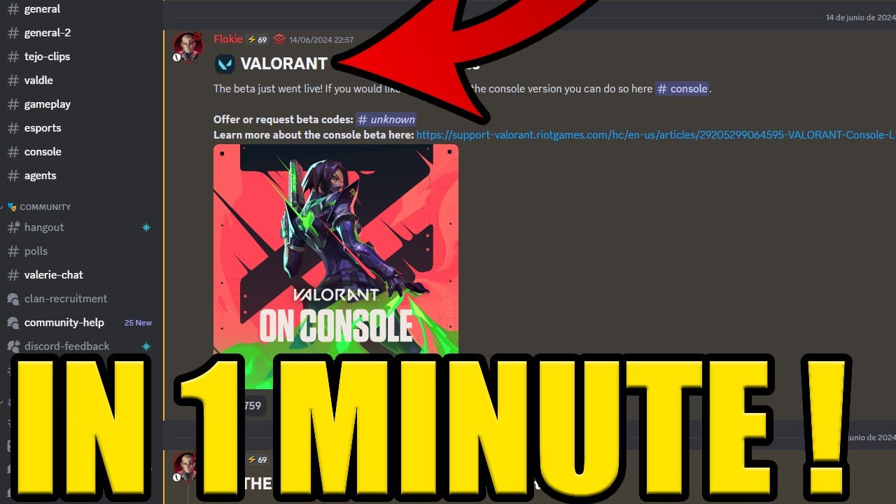 Décoration Avatar Wingman's Got Valorant Gratuit sur Discord