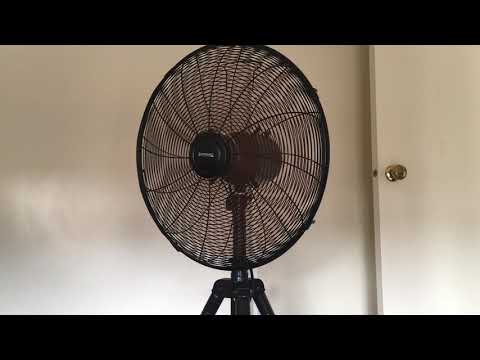 This is what a real fan looks like - This is what a real fan looks like