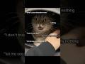 #catshorts #cat #meow #funny #funnycats #cute #cutecat #shortsvideo