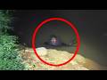 REAL Encounters With Creatures That Still Can’t Be Identified