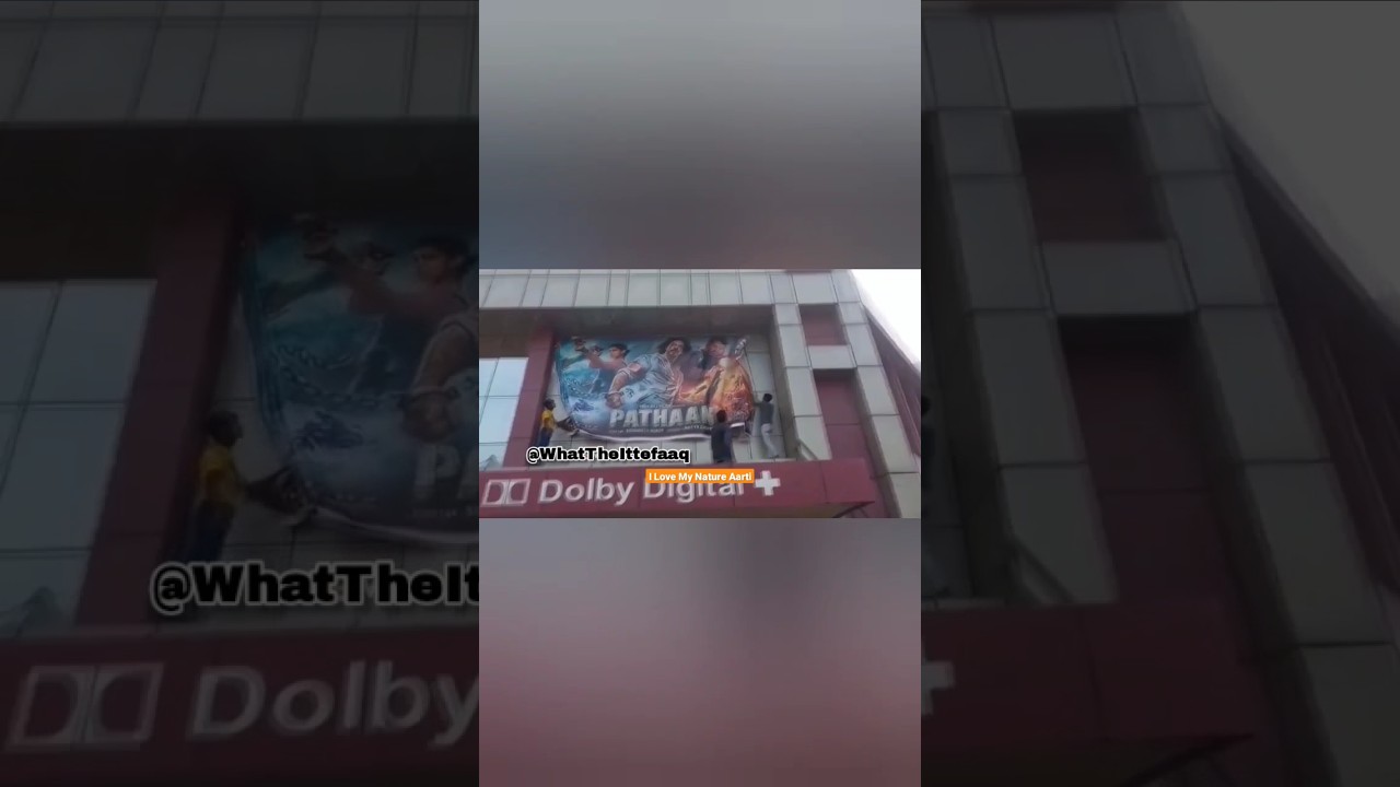 Truth of Pathan Boycott 