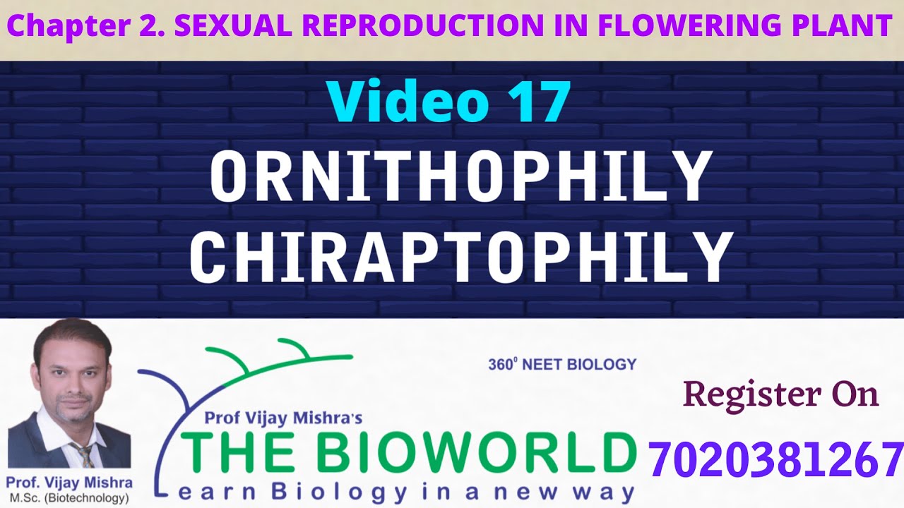 V 18 II ORNITHOPHILY, CHIROPTEROPHILY, MALACOPHILY, ANTHOPHILY