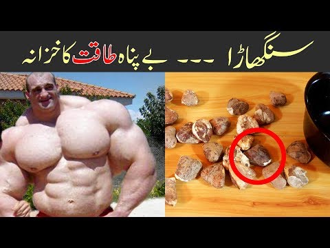 Get Weight Fast with Water Chestnut (Singhara) & Its Health Benefits Urdu Hindi