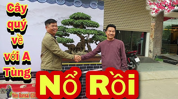 Tiếng Nổ đầu tiên tại Triển lãm NINH HIỆP.Anh A Tùng Nhựa sở hữu tác phẩm sanh cổ cực quý