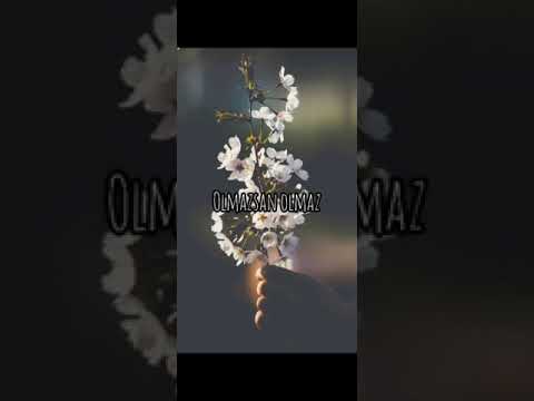 Olmazsan Olmaz YouTube Trending