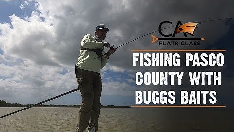 Fishing Pasco County With Buggs Baits - Flats Class