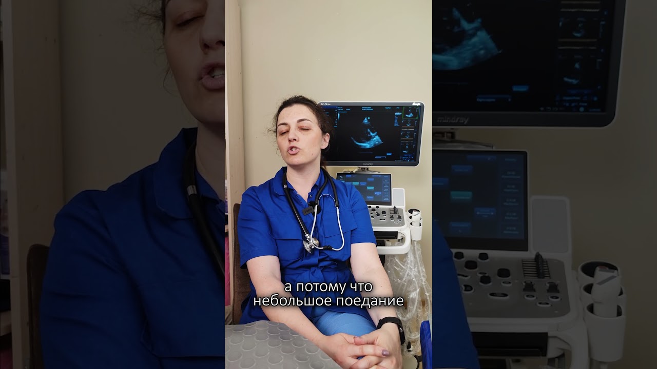 Биохимия крови подготовка животного