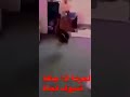 لما المرة بيجيها ضيوف