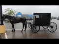 عربة تجرها الخيول على الطراز الأميشي في وول مارت 