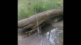 Se Se Budel Se E Vo Igra Juni 2025-Lepenec Reka