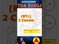 TDA8580J - integrado