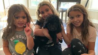 The Fandel Family - Ep 001 - Welcome Home Louie