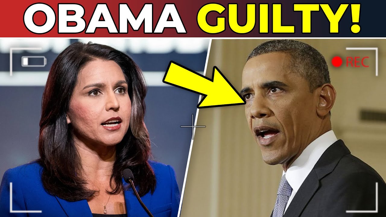 CNN PANICS after Tulsi Gabbard DROPS BOMBSHELL On Barack Obama