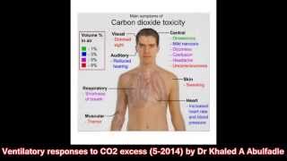 Ventilatory responses to CO2 excess (5-2014) by Dr Khaled A Abulfadle 210 Ventilatory Response To Co2