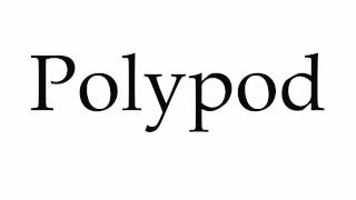 How to Pronounce Polypod
