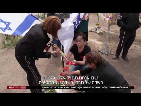 כלניות לפני הגשם כתבה בערוץ 12 