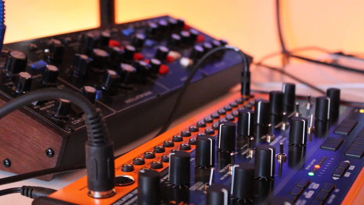 Crave and Model D lead bass