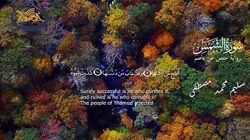 سورة الشمس | القارئ سليم محمد | ستوديو أصداء