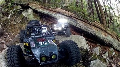 scx10 jk, vaterra twin hammers - Feel The Bite