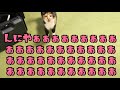 お見舞いが遅くてブチ切れてしまう猫がかわいい！