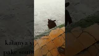 katanya yang pake sound ini vwrs nya jutaan?